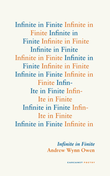 Paperback Infinite in Finite Book