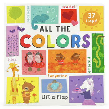 Board book All the Colors Book