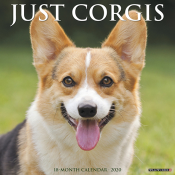 Calendar Just Corgis 2020 Wall Calendar (Dog Breed Calendar) Book