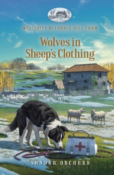 Paperback Wolves in Sheep's Clothing Book