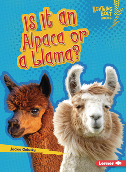 Is It an Alpaca or a Llama? (Lightning Bolt Books (R) -- Which Is It?)