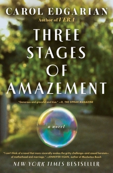 Paperback Three Stages of Amazement Book