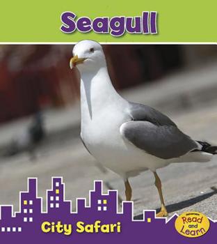 Paperback Seagull Book