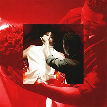 Vinyl Dying To Live Book