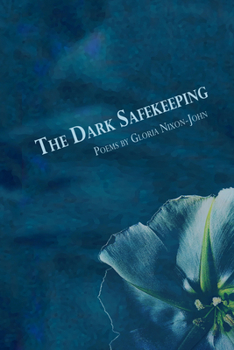 Paperback The Dark Safekeeping Book
