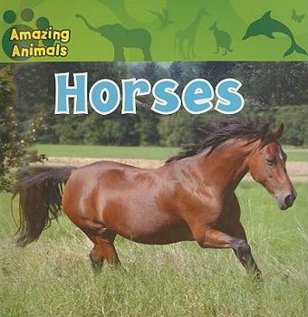 Horses - Book  of the Amazing Animals