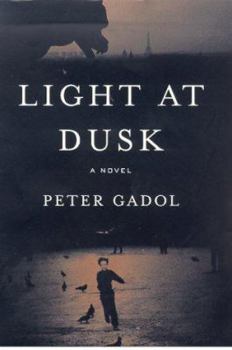 Hardcover Light at Dusk Book