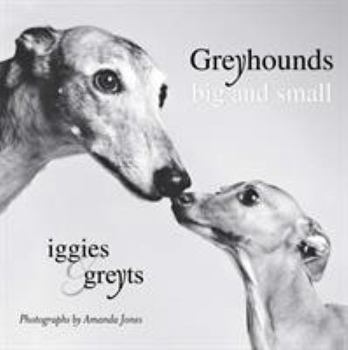 Paperback Greyhounds Big and Small: Iggies and Greyts Book