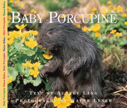 Baby Porcupine - Book  of the Nature Babies