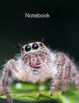 Notebook: 120 pages notebook, college ruled journal, large soft cover composition notebook, homeschooling, workbook for teens, kids, student, home and office