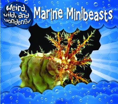 Marine Minibeasts - Book  of the Weird, Wild, and Wonderful