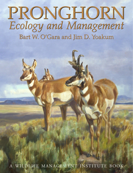 Hardcover Pronghorn: Ecology & Mangemt: Ecology and Management Book