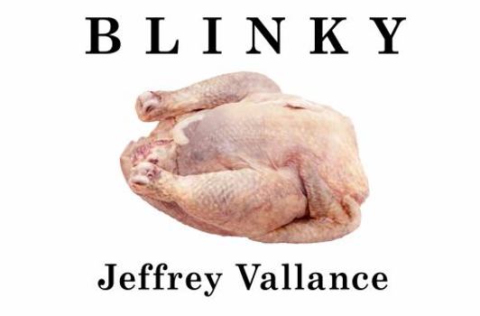 Paperback Jeffrey Vallance: Blinky Book