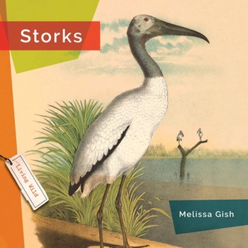 Hardcover Storks Book