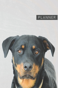 Planner: Rottweiler 1 Year Daily Planner (12 Months) | 2020 - 2021 | 365 Pages for Planning | January 20 - December 20 | Appointment Calendar Schedule | Plan Each Day Set Goals & Get Stuff Done