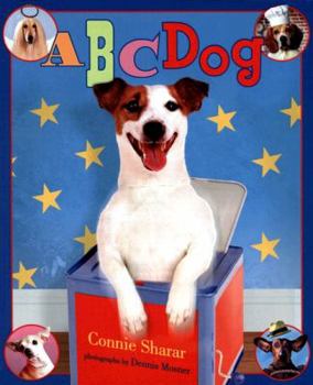 Hardcover ABC Dog Book