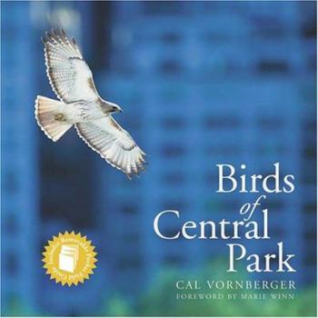 Hardcover Birds of Central Park Book