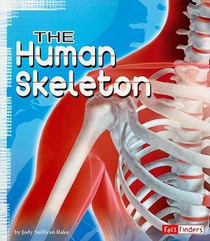 Paperback The Human Skeleton Book