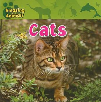 Cats - Book  of the Amazing Animals