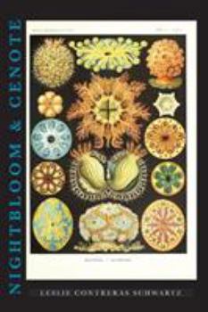 Paperback Nightbloom & Cenote Book
