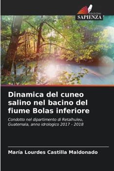 Dinamica del cuneo salino nel bacino del fiume Bolas inferiore (Italian Edition)