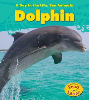 Dolphin - Book  of the A Day In The Life