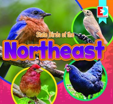 State Birds of the Northeast