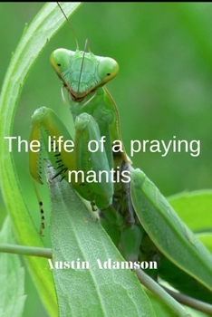 Paperback &#1058;he life of a praying mantis Book