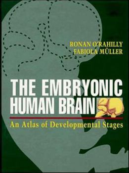 The Embryonic Human Brain: An Atlas of Developmental Stages