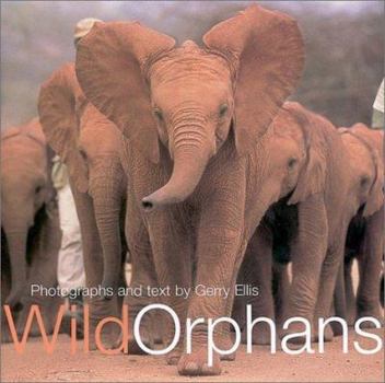 Hardcover Wild Orphans Book