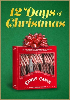 DVD 12 Days of Christmas Book