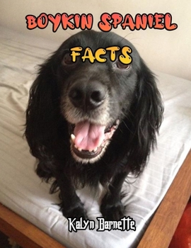 BOYKIN SPANIEL FACTS: BOYKIN SPANIEL fact for girl age 1-10 BOYKIN SPANIEL fact for boy age 1-10 facts about all about BOYKIN SPANIEL