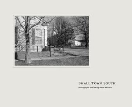 Hardcover Small Town South Book