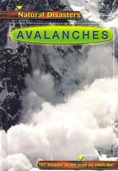 Library Binding Avalanches Book