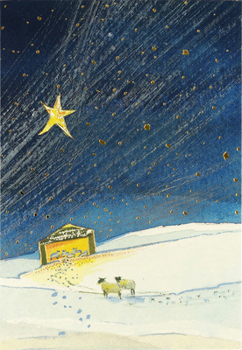 Hardcover The Guiding Star Small Boxed Holiday Cards Book