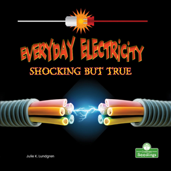 Library Binding Everyday Electricity, Shocking But True Book