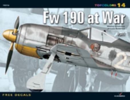 Paperback Focke Wulf FW 190 at War Book