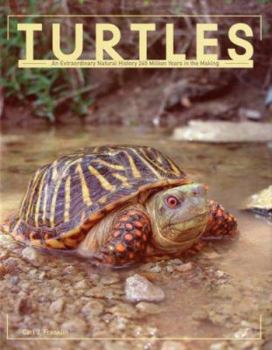 Hardcover Turtles: An Extraordinary Natural History 245 Million Years in the Making Book