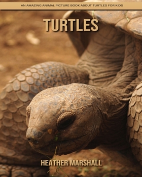 Paperback Turtles: An Amazing Animal Picture Book about Turtles for Kids Book