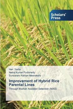 Paperback Improvement of Hybrid Rice Parental Lines Book