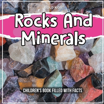 Paperback Rocks And Minerals Book