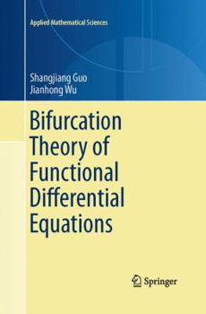 Paperback Bifurcation Theory of Functional Differential Equations Book