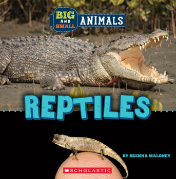Paperback Reptiles (Wild World: Big and Small Animals) Book
