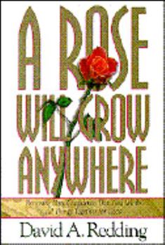 Paperback A Rose Will Grow Anywhere: Renewing Your Confidence That God Works All Things Together for Good Book