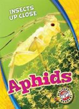 Aphids - Book  of the Insects Up Close