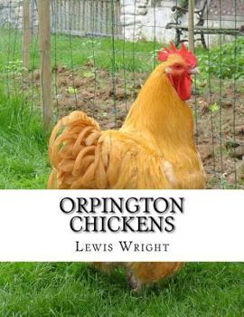 Paperback Orpington Chickens: From The Book of Poultry Book