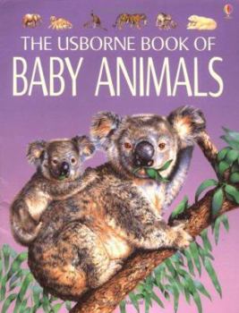 Paperback Baby Animals: Young Nature Book