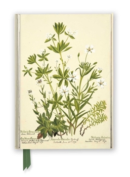 Misc. Rbge: Charlotte Cowan Pearson: Stitchworts, Woodruff and Pepperwort (Foiled Journal) Book