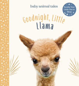 Hardcover Goodnight, Little Llama: A Board Book