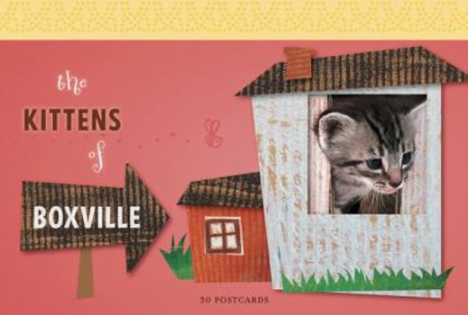 Paperback The Kittens of Boxville Book